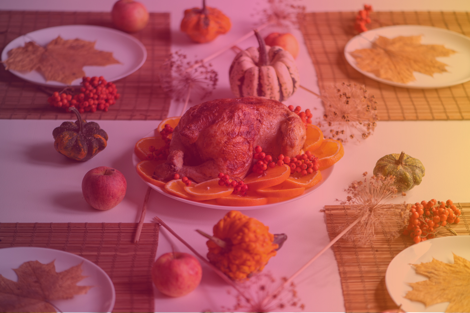 Thanksgiving Marketing Campaigns